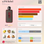 Afnan 9pm Rebel Eau de Parfum Unisexe 100ml – Image 5